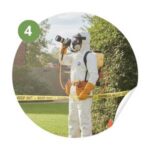 destruction du nid le pradet - controle et suivi destruction du nid le pradet - controle et suivi