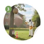 frelons et guepes le pradet - traitement destruction du nid frelons et guepes le pradet - traitement destruction du nid