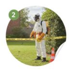 luttre contre nids frelons le pradet - sécurisation de la zonefrelons luttre contre nids frelons le pradet - sécurisation de la zonefrelons