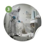 extermination des cafards le Pradet - Éradication durable extermination des cafards le Pradet - Éradication durable