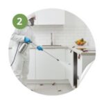 extermination des cafards le Pradet - Traitement ciblé extermination des cafards le Pradet - Traitement ciblé