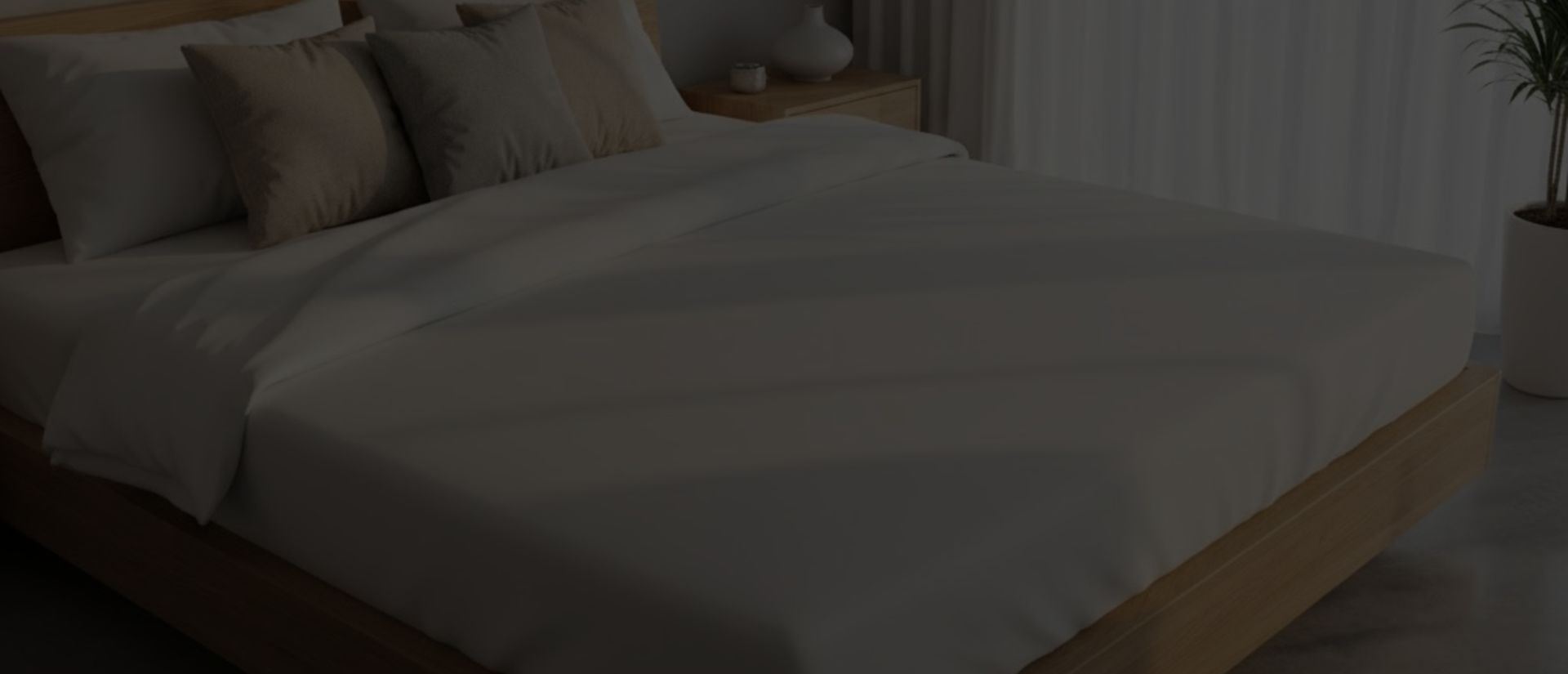 traitement punaises de lit le pradet