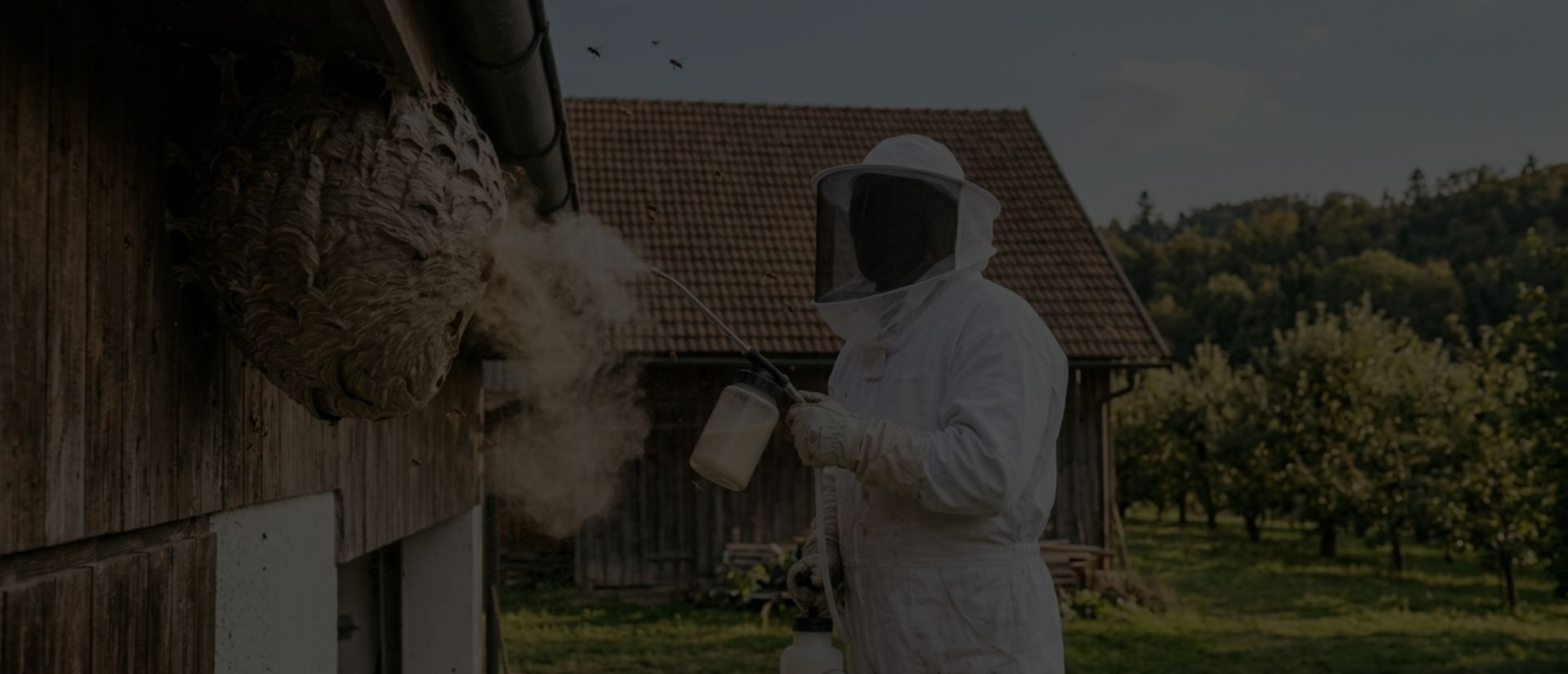 traitement contre les nuisibles le pradet
